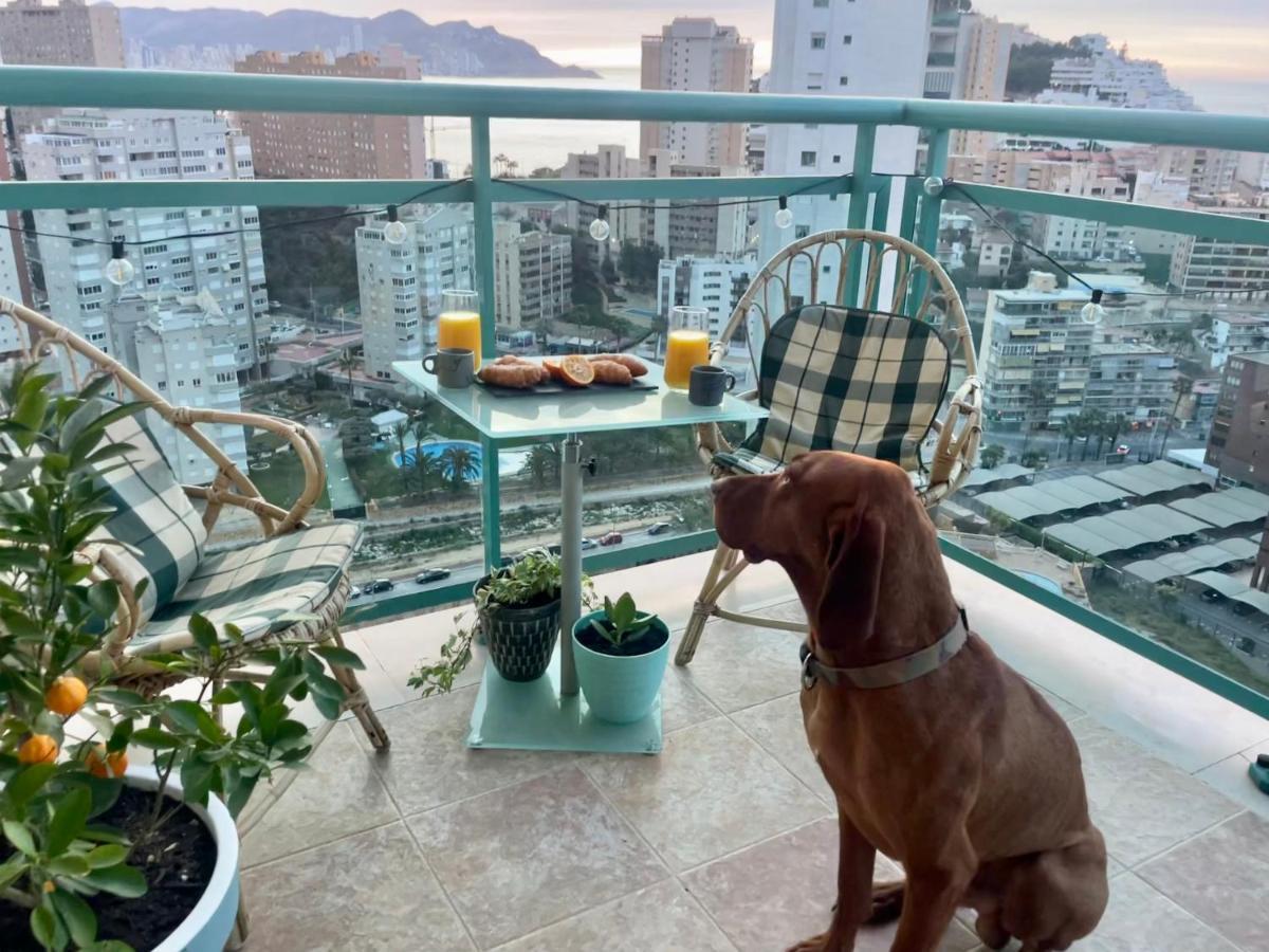 Traveler'S Beach Apartment With Sea View, Free Coffee & Parking Benidorm Exterior foto